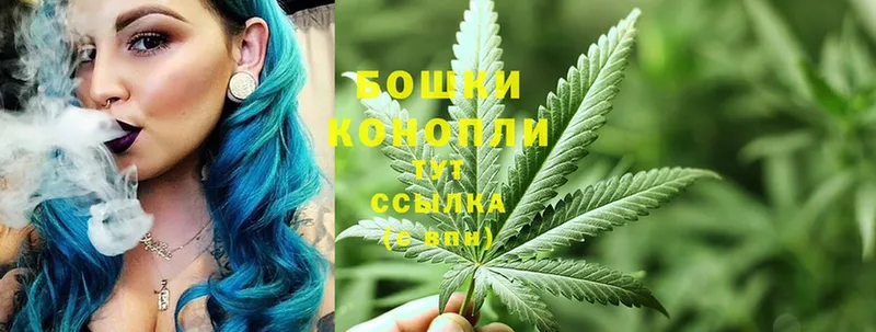 как найти   Зерноград  Марихуана SATIVA & INDICA 